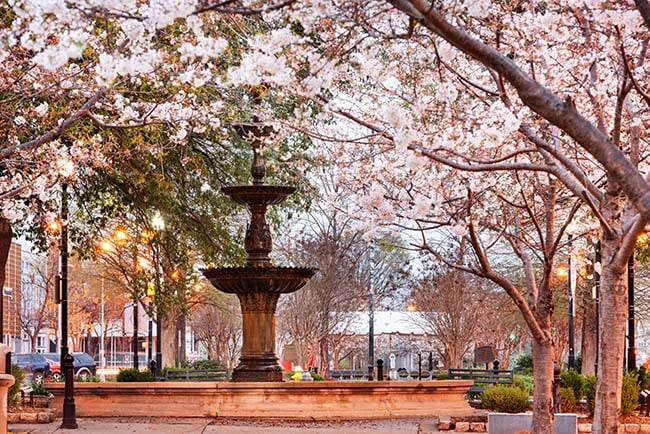 Macon, Georgia, USA downtown square in spring.